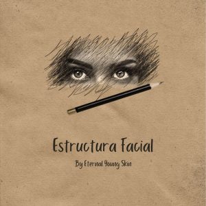 Curso Estructura Facial
